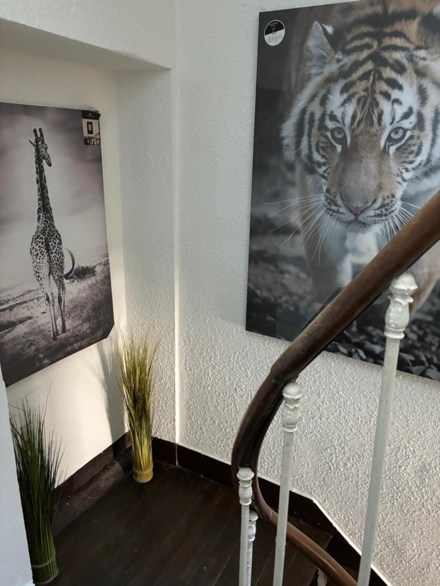 Le Duplex Safari Saint-Aignan (Loir-et-Cher) Exterior foto