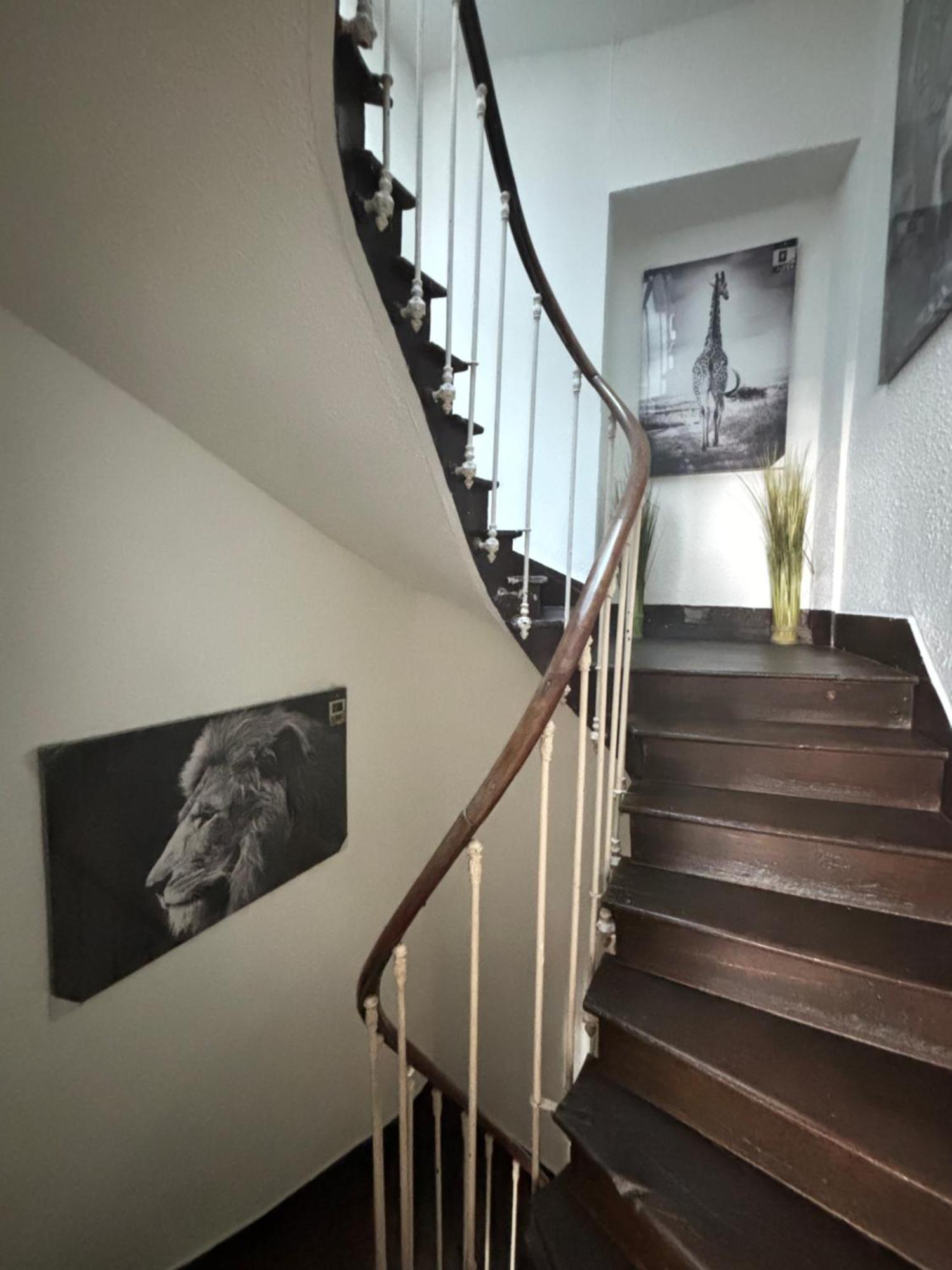 Le Duplex Safari Saint-Aignan (Loir-et-Cher) Exterior foto